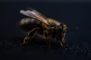 髪の年齢による老化が髪質に与える変化の原因は？