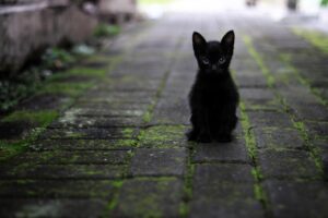 髪年齢を若返るために女性ホルモン関係でできることは？